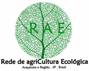 logo RAE 3 (2)